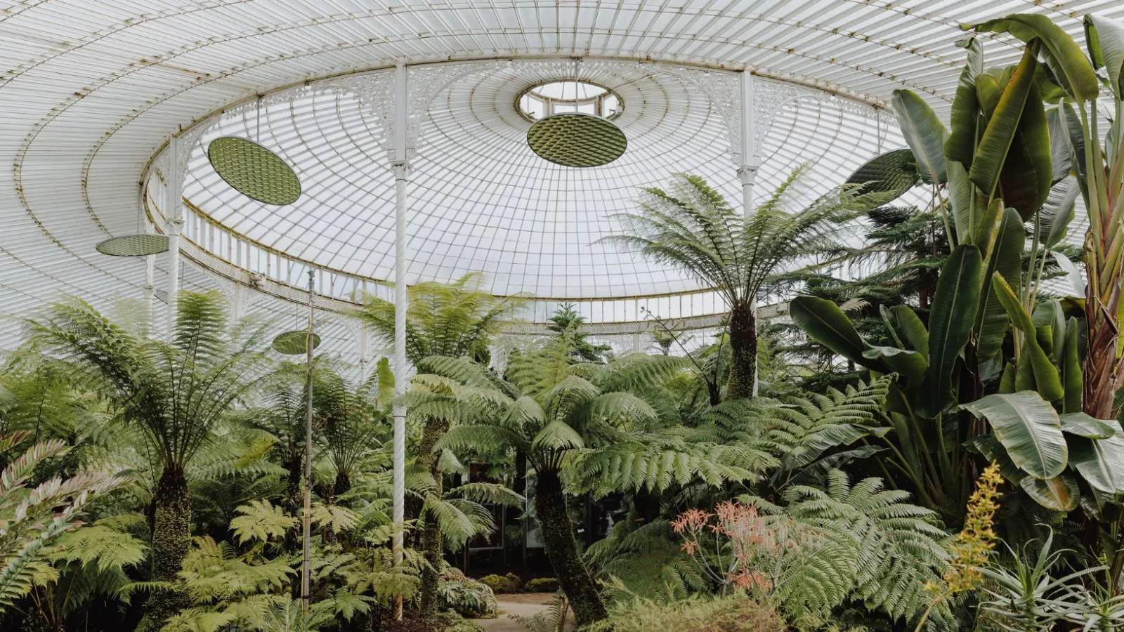Botanical Gardens 